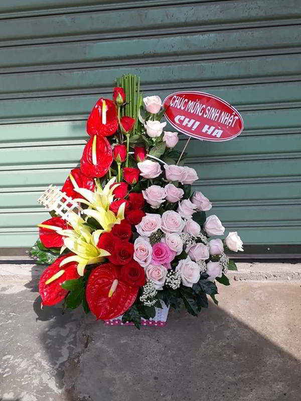 Gio-hoa-dep-mung-khai-truong-sinh-nhat