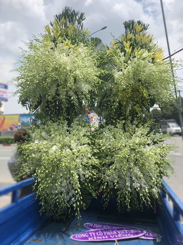 vong-hoa-vieng-dam-tang-gia-re-tai-binh-duong