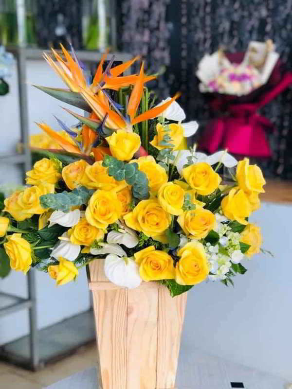 hop-hoa-chuc-mung-dep-tai-binh-duong-HH343