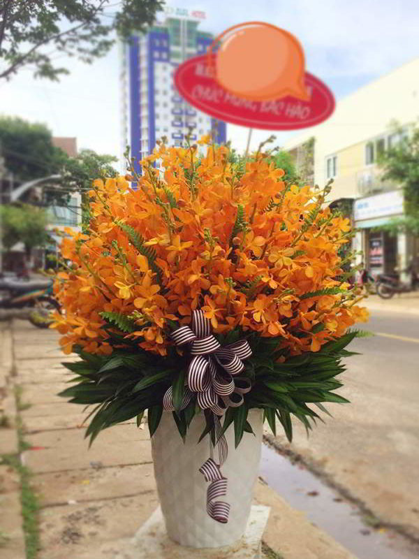 binh-hoa-dep-tai-binh-duong