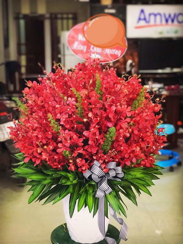 binh-hoa-dep-tai-binh-duong