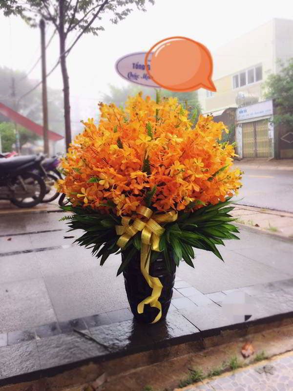 binh-hoa-dep-tai-binh-duong