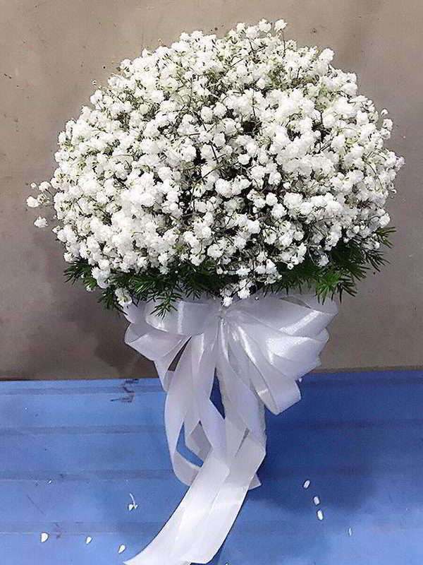 hoa-cam-tay-co-dau-dep