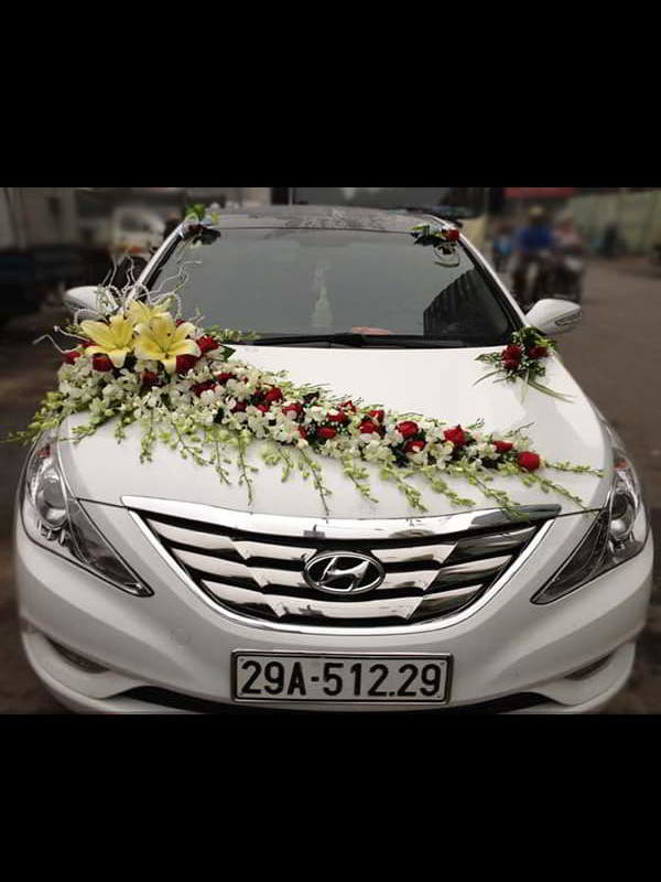 trang-tri-xe-hoa-tai-binh-duong