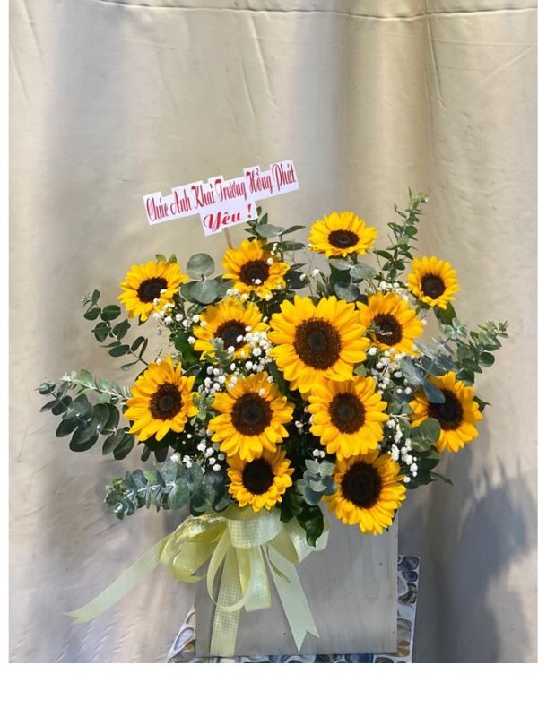 Lẵng Hoa Để Bàn HG25